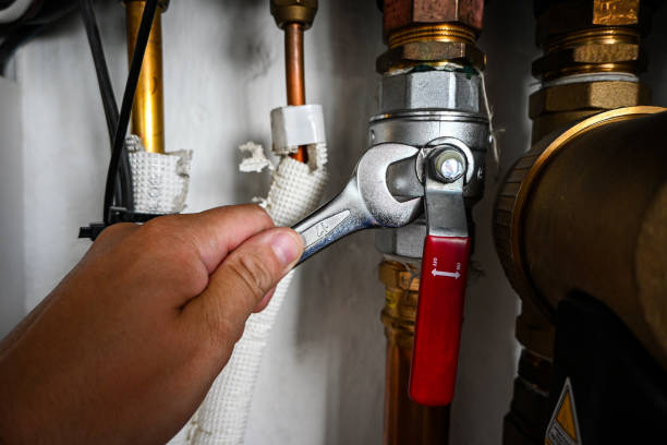 Best Local Plumber Services  in Hastings, PA